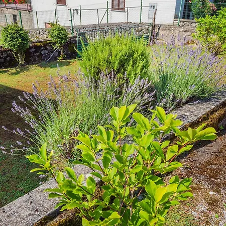 Apartment Pilcic Sapjane