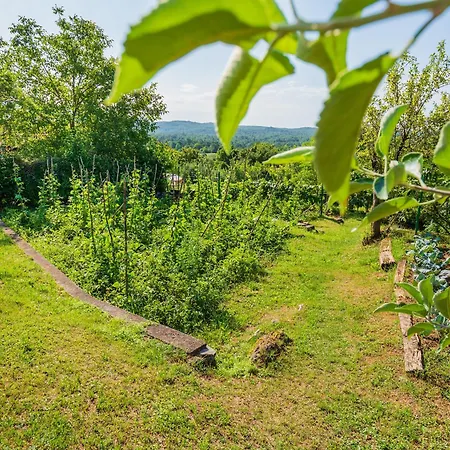 Appartement Pilcic